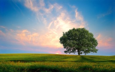 �x��_���CҪע����Щ����